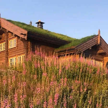 Hand-crafted With Sod Roof And Terrace Dom wakacyjny Oyfjell